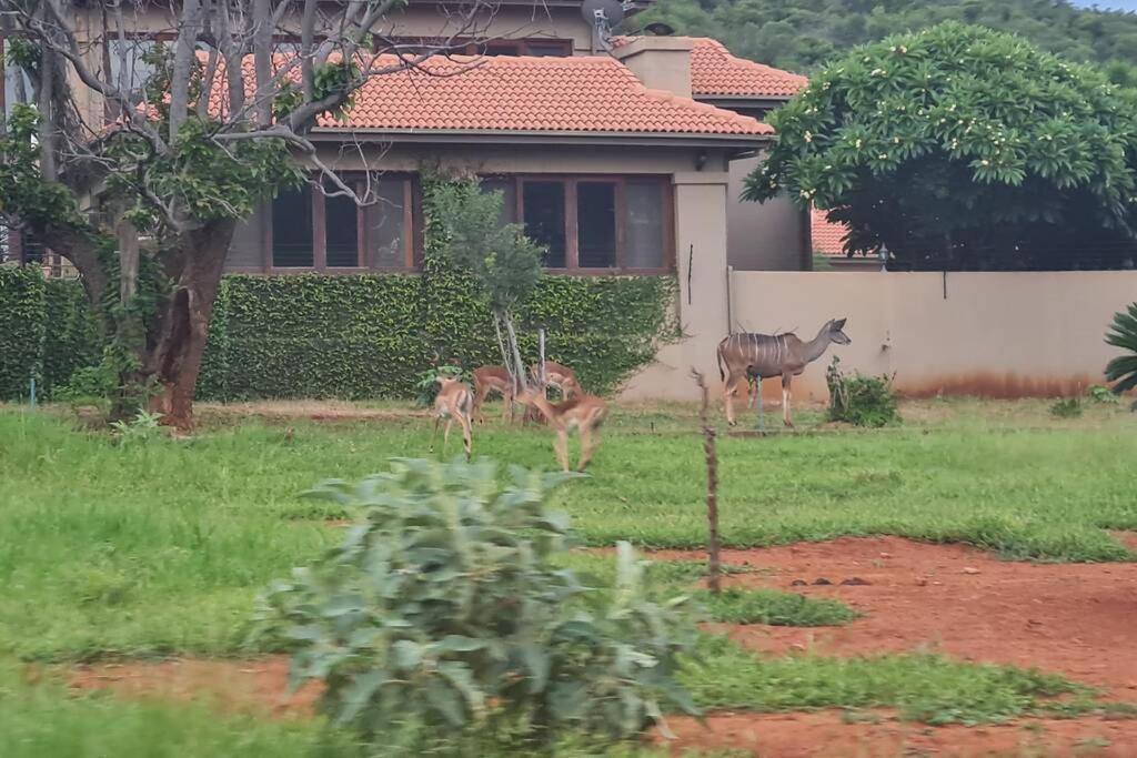 66 Sharalumbi Wildlife Estate Apartamento Lydenburg Exterior foto