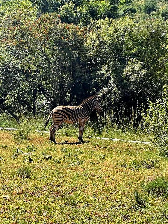 66 Sharalumbi Wildlife Estate Apartamento Lydenburg Exterior foto