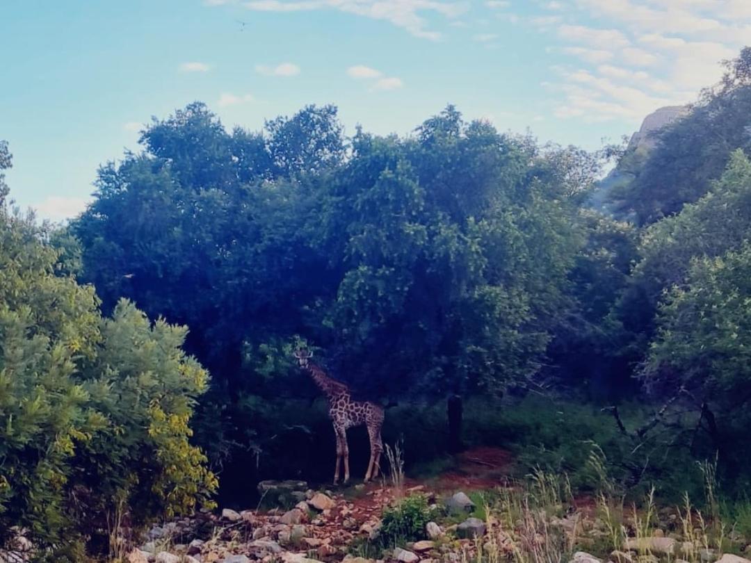 66 Sharalumbi Wildlife Estate Apartamento Lydenburg Exterior foto