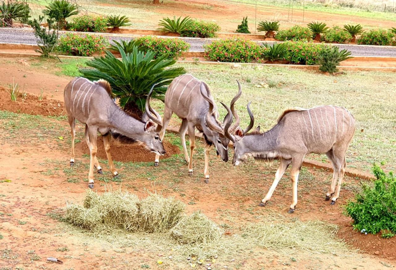 66 Sharalumbi Wildlife Estate Apartamento Lydenburg Exterior foto