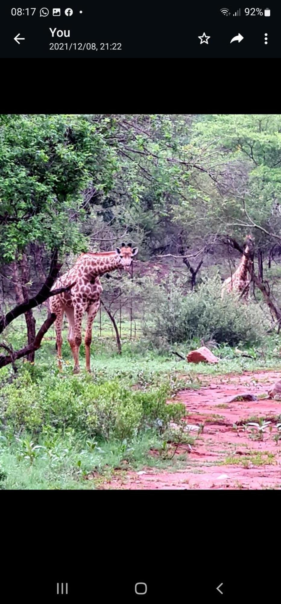 66 Sharalumbi Wildlife Estate Apartamento Lydenburg Quarto foto